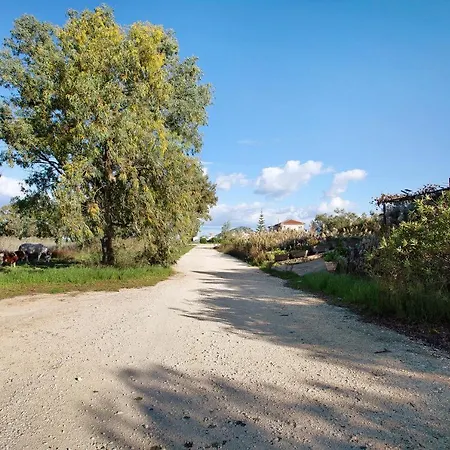 Dolphin Sea View 10 *